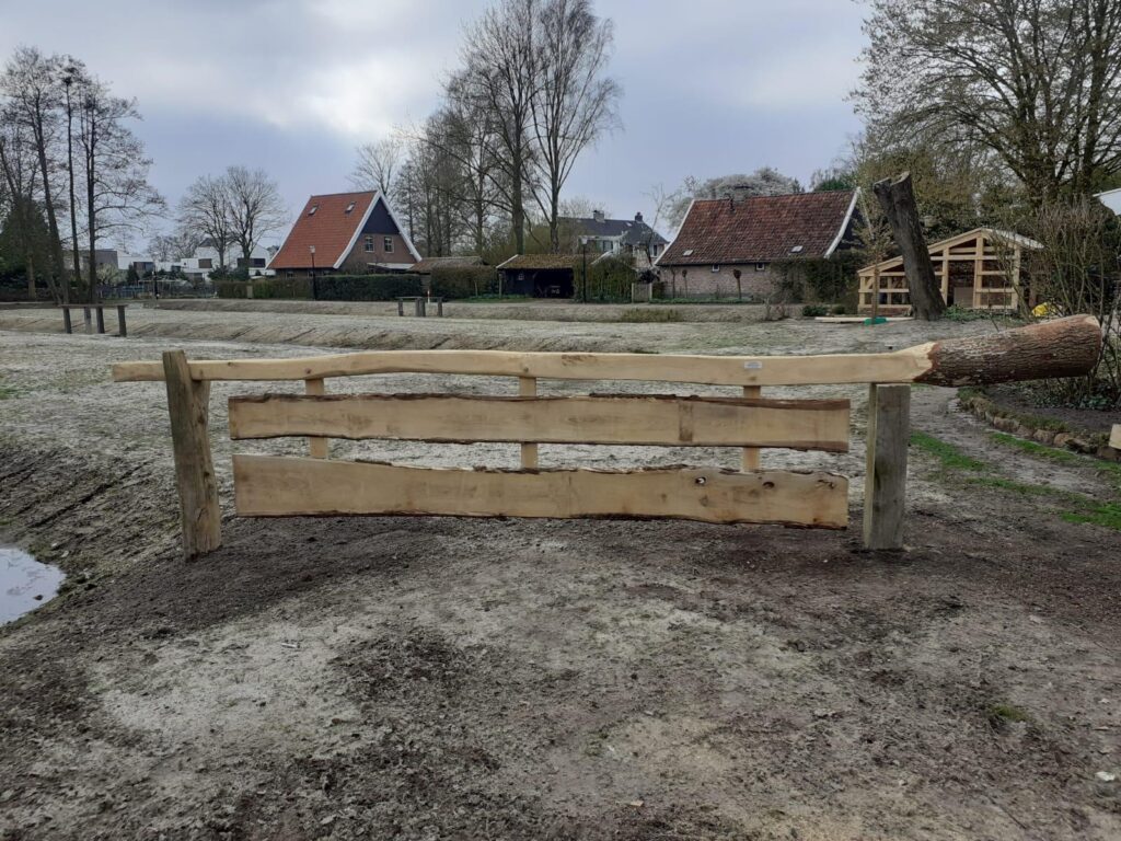 SELBDVFeb2026